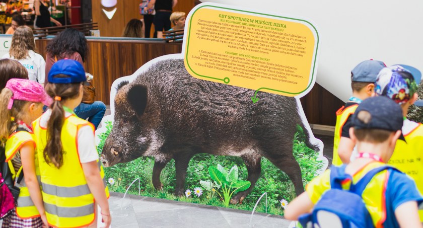 Wroclavia i ZOO Wrocław zapraszają w lipcu na zajęcia edukacyjne. Dowiesz się co zrobić, gdy spotkasz w mieście dzikie zwierzę!