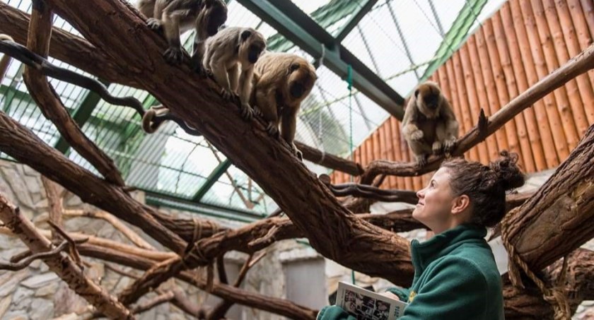 Konkurs na Dyrektora Generalnego ZOO Wrocław rozstrzygnięty