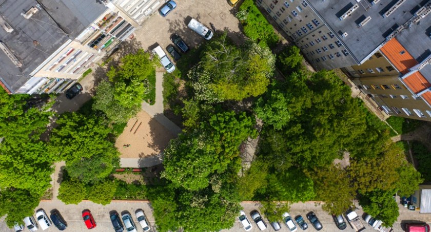 We Wrocławiu powstaje mapa koron drzew. To początek europejskiego projektu