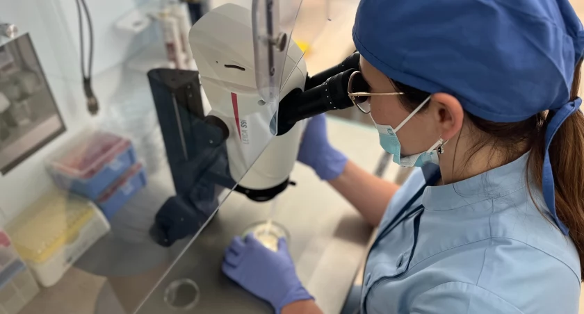 Wrocławski program In Vitro bez szans na dofinansowanie z budżetu województwa