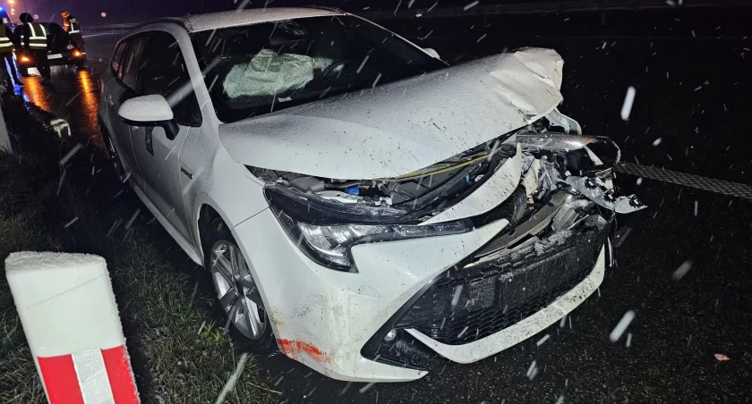 Rzeźnia na autostradzie A4 w kierunku Katowic. Dwa zniszczone samochody i cztery martwe dziki