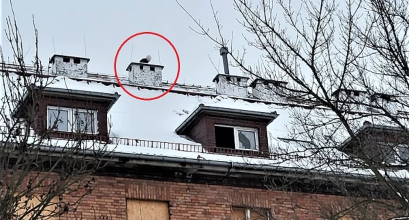 Strzelał z wiatrówki do samochodów. Został zatrzymany przez legnickich policjantów