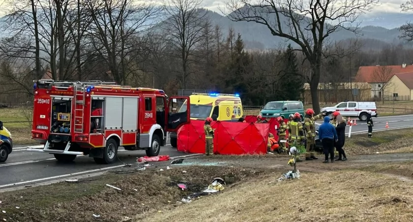 Groźny wypadek na DK3 pod Jelenią Górą. Wśród poszkodowanych 39-letnia kobieta i trójka dzieci. Na miejscu lądował LR