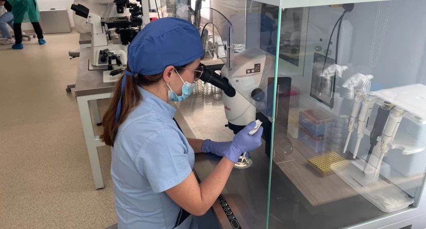 Rekordowa liczba zgłoszeń do wrocławskiego programu in vitro