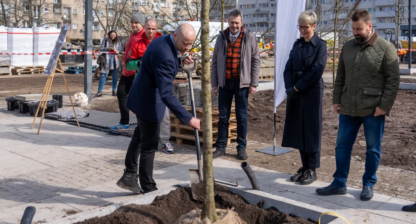 Wrocław zapowiada kolejnych 15 wielkich zielonych inwestycji