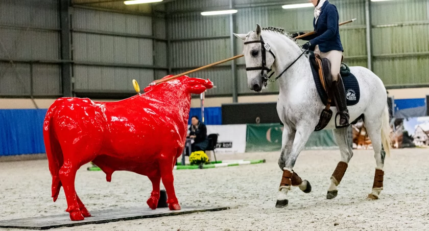 Międzynarodowe Zawody WROCLOVE Working Equitation Elite Masters 
