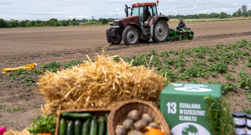 Miejska Farma – pierwszy taki projekt w Polsce