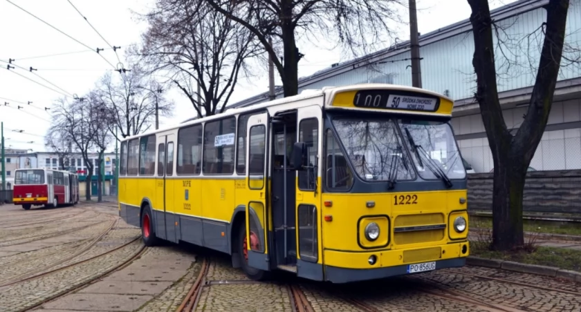 Autobusem DAF po Wrocławiu i inne atrakcje w ramach Wrocławskich Linii Turystycznych
