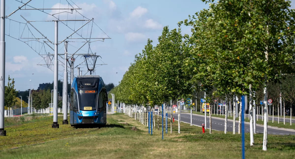 Kolejne drzewa zazielenią arterie komunikacyjne!