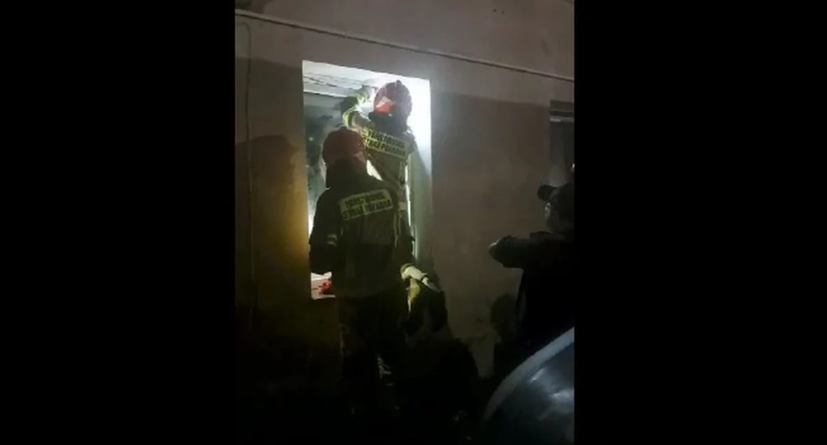 Właścicielka zostawiła swoje domowe zwierzęta bez opieki na kilkanaście dni. Interweniowały służby
