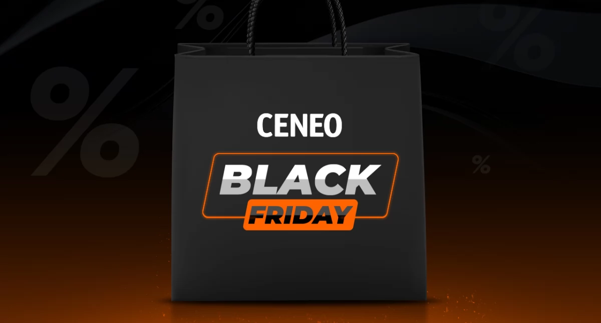 Jak bezpiecznie robić zakupy online podczas Black Friday 2024?