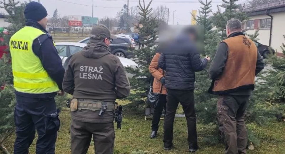 Wspólne działania policjantów ze strażą leśną. Pamiętajmy, choinka tylko z legalnego źródła!
