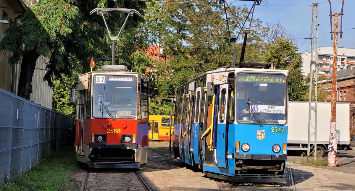 Wrocław świętuje 50 lat tramwajów Konstal 105N