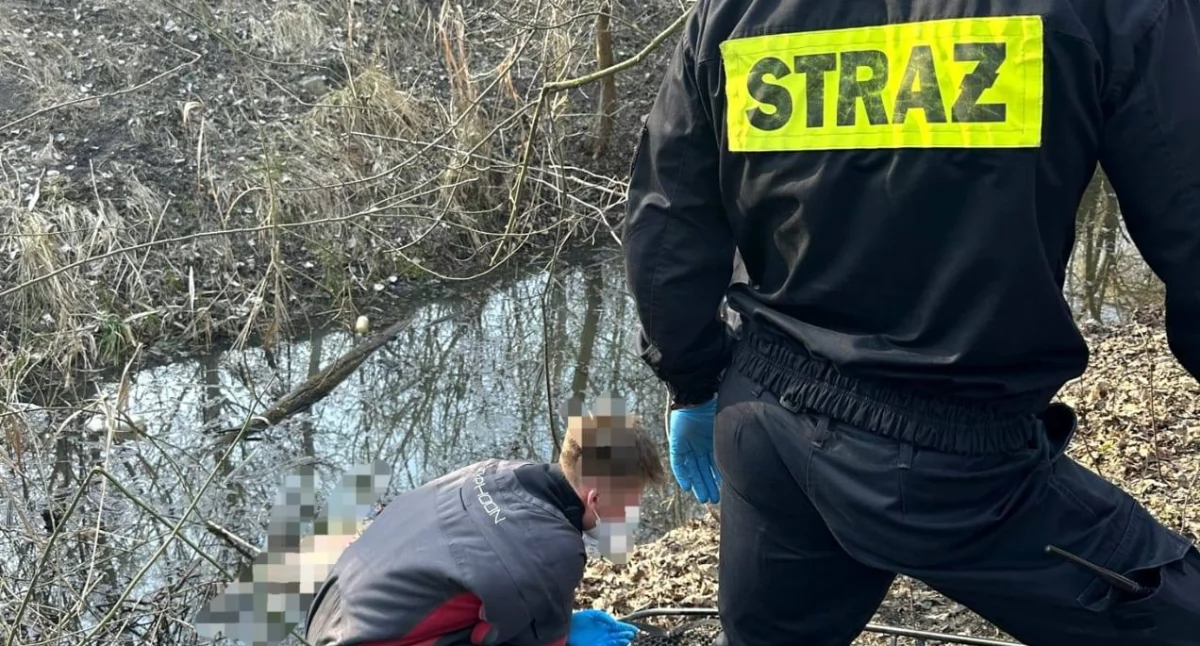 Akcja służb w Parku Migdałowym we Wrocławiu. W rowie melioracyjnym znaleziono zwłoki mężczyzny