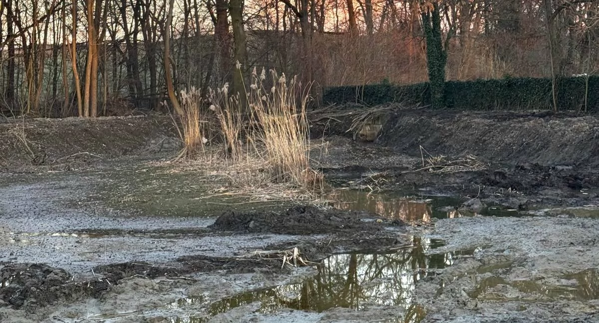 Dziecko uwięzione w mule. Akcja ratunkowa WOPR pod Trzebnicą