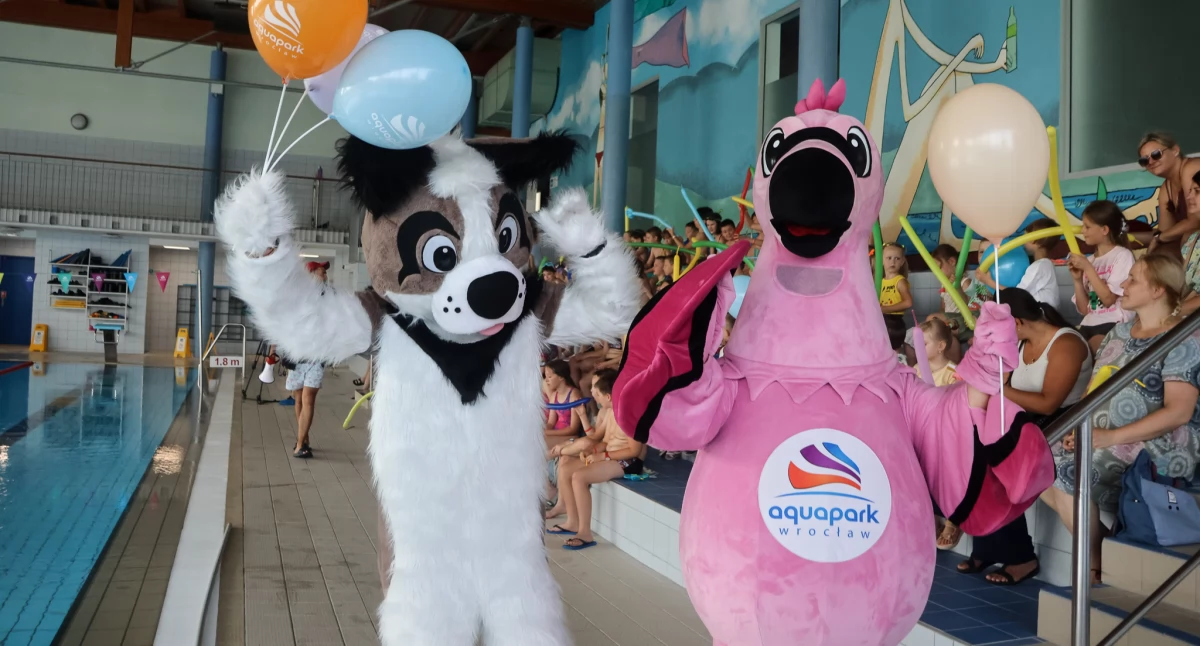 III Mistrzostwa w Pływaniu Pieskiem w Aquapark Wrocław
