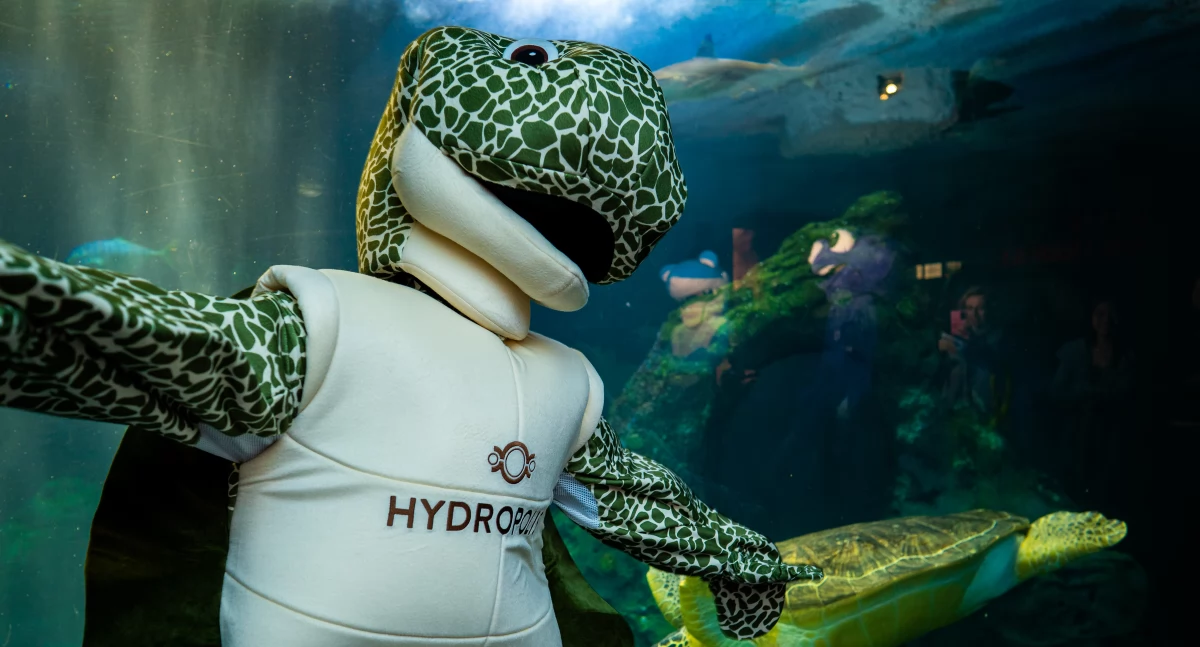 Baw się za darmo na rodzinnym pikniku w Hydropolis