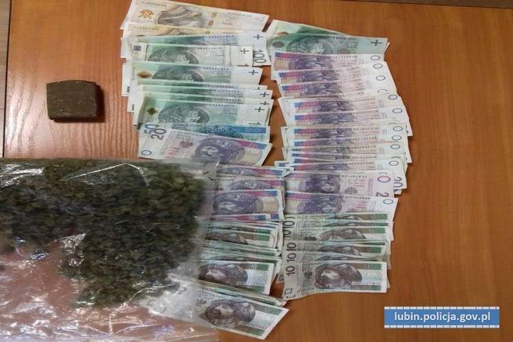 Tymczasowy areszt dla dilera narkotykowego - policjanci przechwycili kilkaset porcji marihuany i has