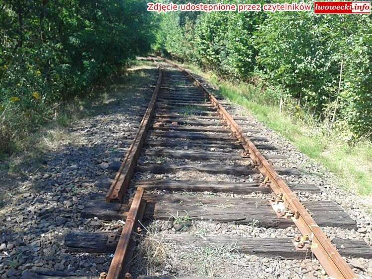 Rozkradają Kolej Doliny Bobru