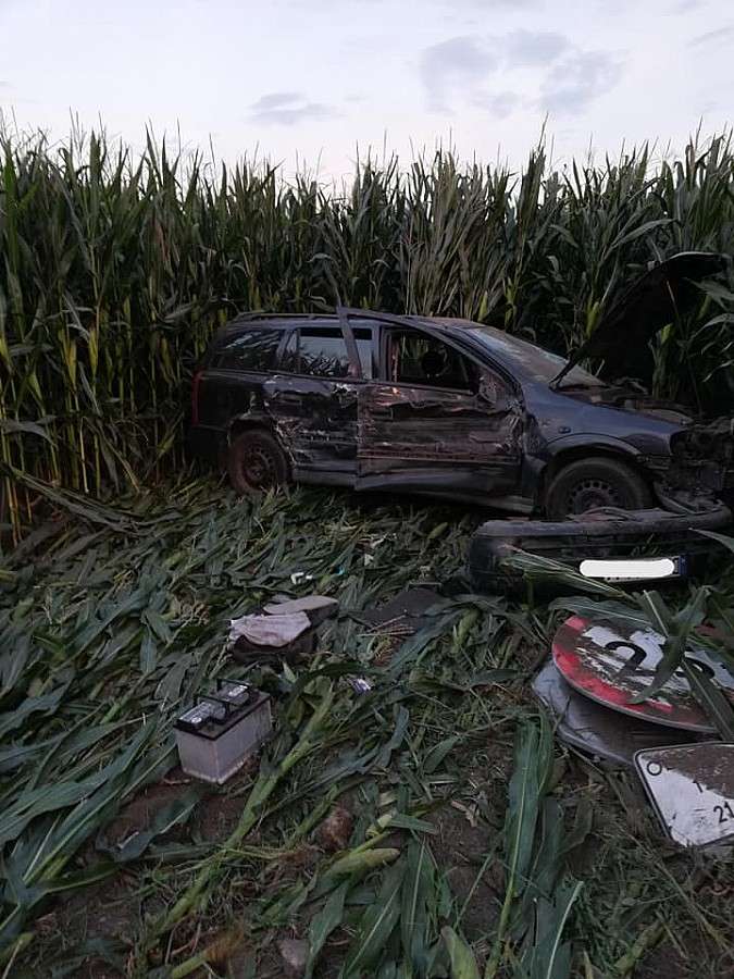 Auto po zderzeniu z ciężarówką wpadło w pole kukurydzy