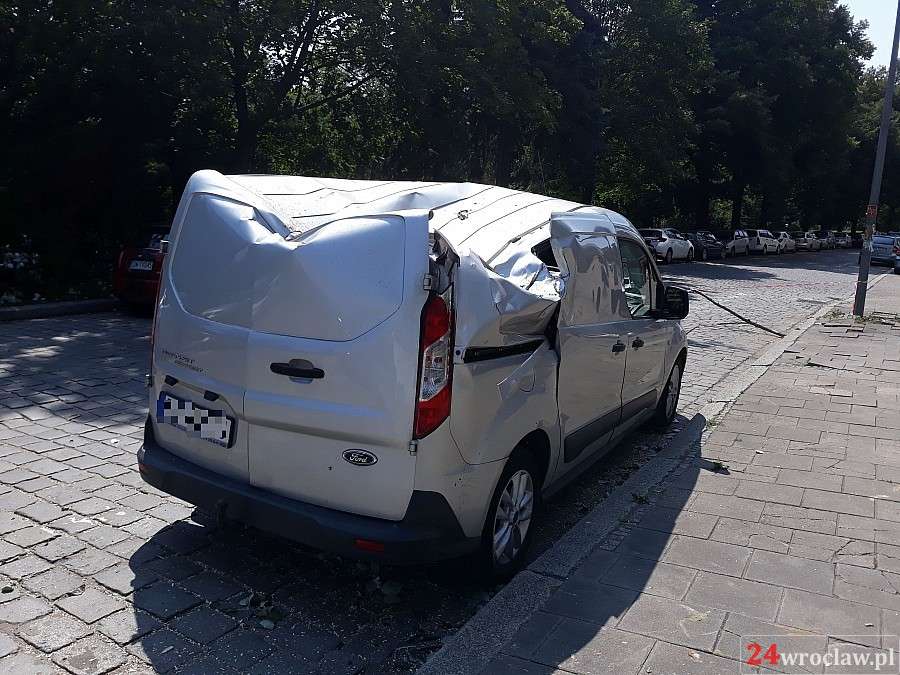 Na zaparkowane samochody spadło drzewo