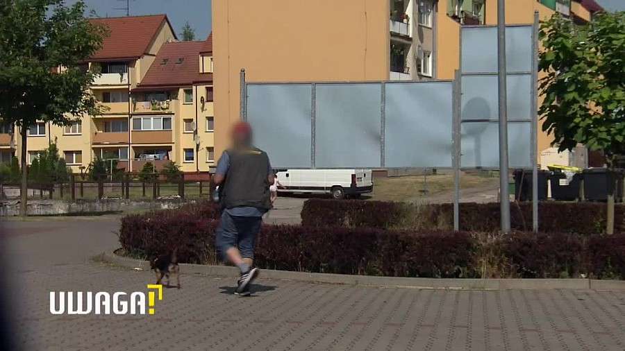 Uwaga! TVN: Krzyknął: 