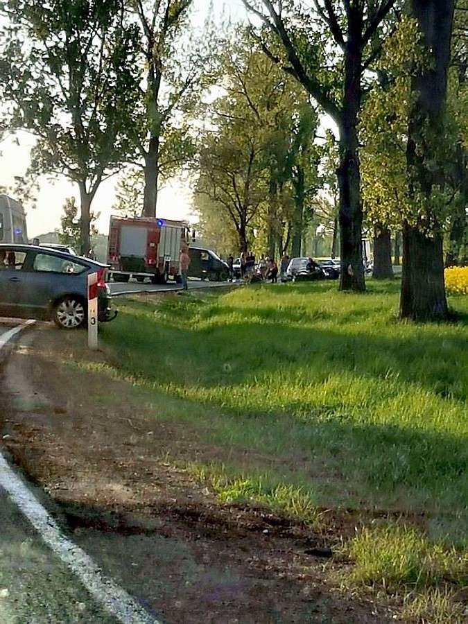Czołowe zderzenie na drodze krajowej 39