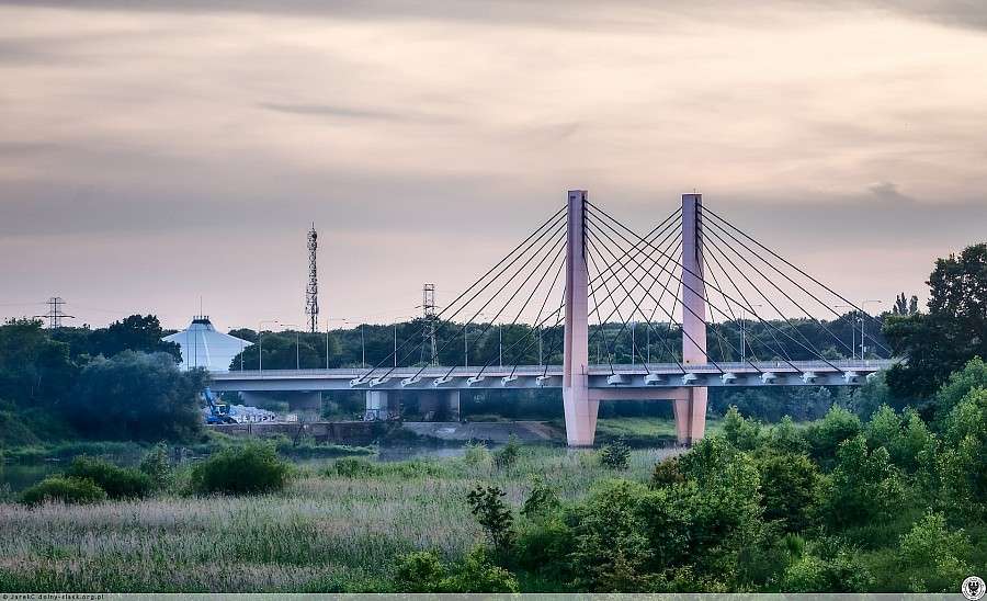 Uratowali kobietę, która skoczyła z mostu do rzeki