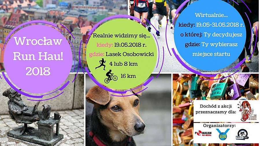 Charytatywny bieg dla psiaków z wrocławskiego schroniska