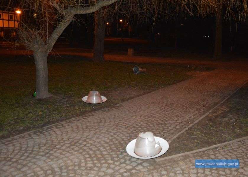 Zniszczyli parkowe lampy, a z ich kloszami na głowie robili sobie zdjęcia