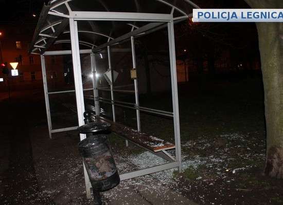 Wandal zatrzymany przez legnickich policjantów - zniszczył samochody i wiatę przystankową