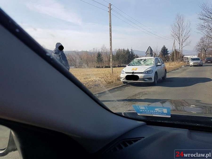Reporter Polsatu zderzył się z jeleniem