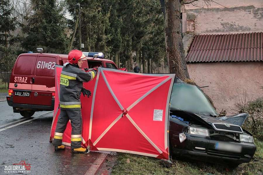 Skoda uderzyła w drzewo.  Nie żyje starsze małżeństwo.