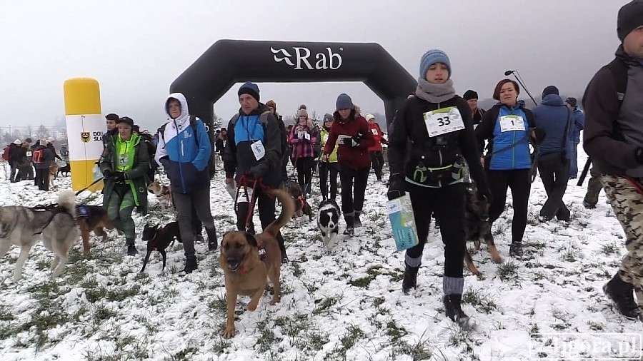 Ponad 160 uczestników pobiegło w Dogtrekkingu Karkonoskim