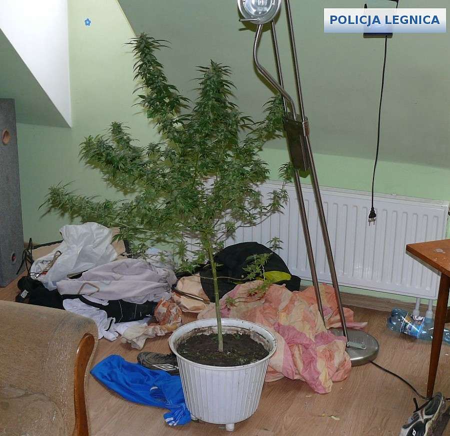 Pościg, narkotyki i dwóch poszukiwanych listami gończymi,
