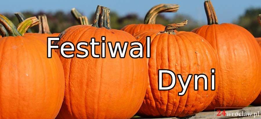 Festiwal Dyni w Humanitarium