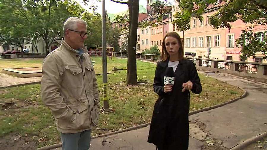 Dziesiątki szczurów w centrum miasta. Na wrocławskim rynku zalegają martwe gryzonie