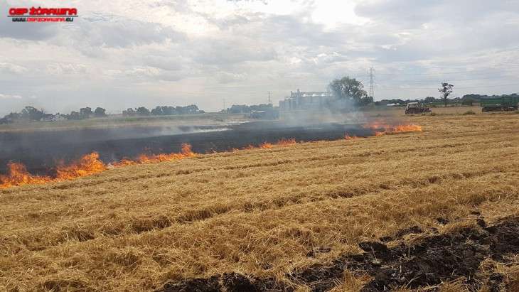 Spłonęły dwa hektary zboża pod Wrocławiem!