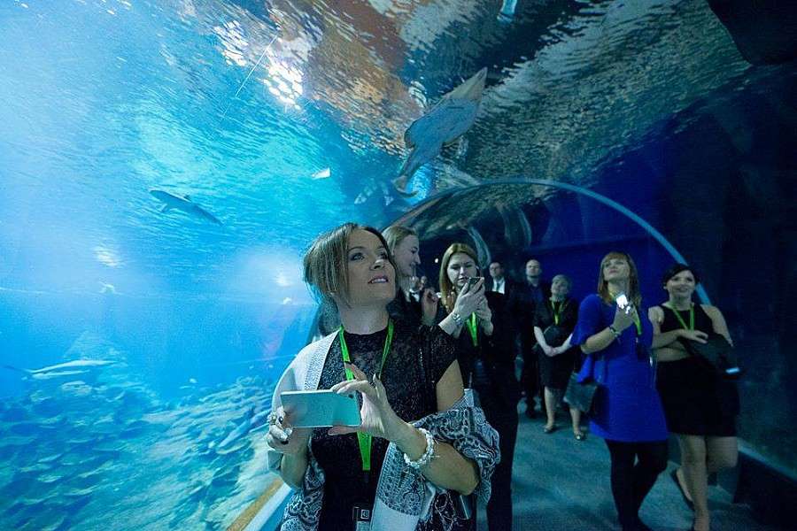 Wieczorne zwiedzanie Afrykarium
