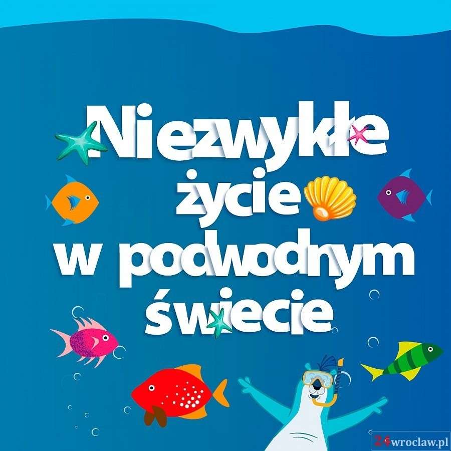 Niezwykłe życie w podwodnym świecie