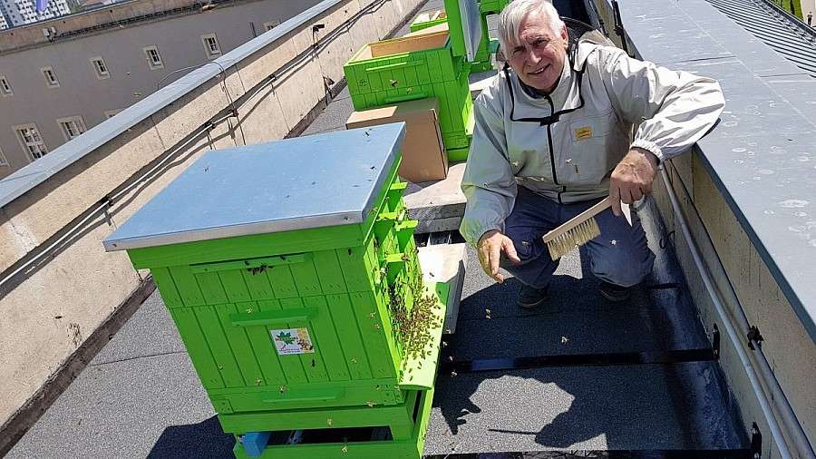 Pszczoły zamieszkały na dachu Dolnośląskiego Urzędu Wojewódzkiego we Wrocławiu