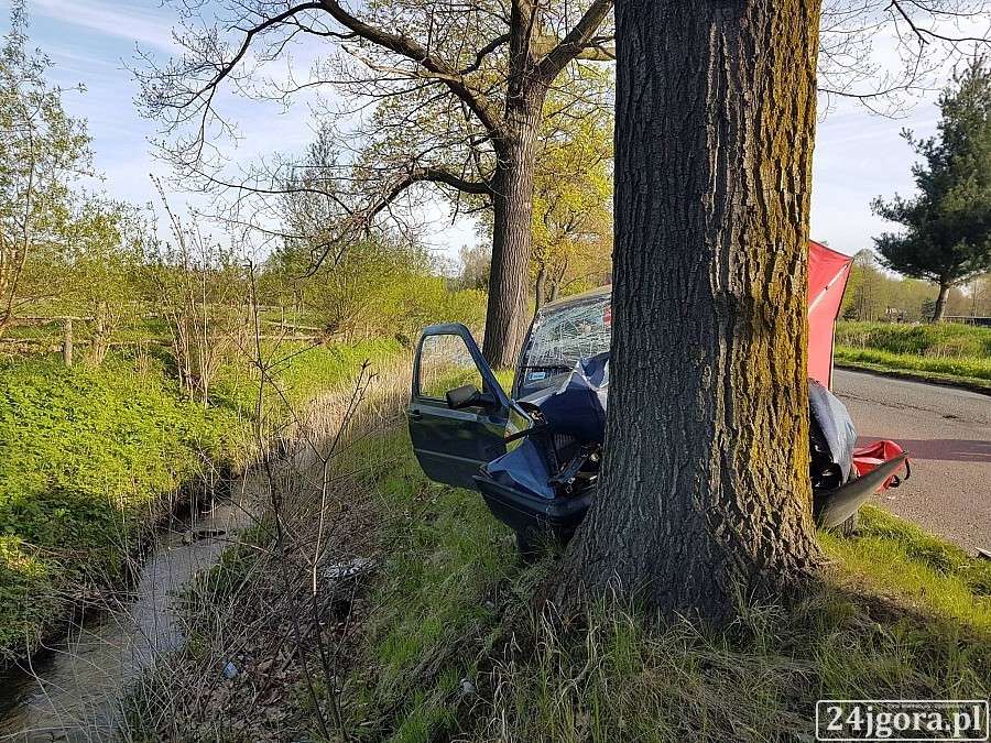 Tragedia pod Jelenią Górą. Kobieta zmarła po uderzeniu w drzewo