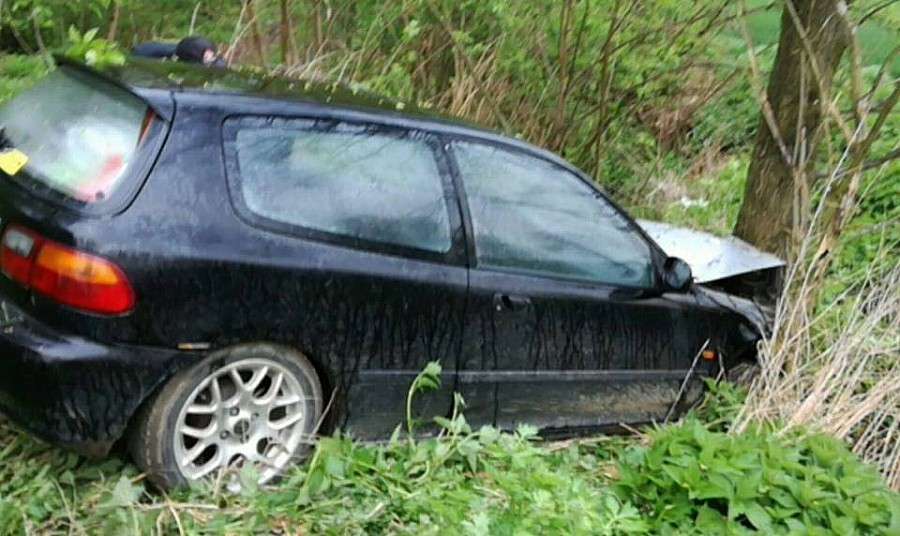 Uderzył czołowo w drzewo