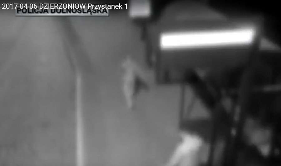 Zniszczyli wiatę przystankową, a teraz odpowiedzą przed sądem