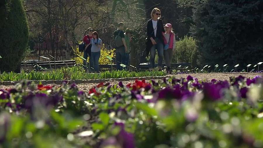 Wiosenne otwarcie Ogrodu Botanicznego we Wrocławiu