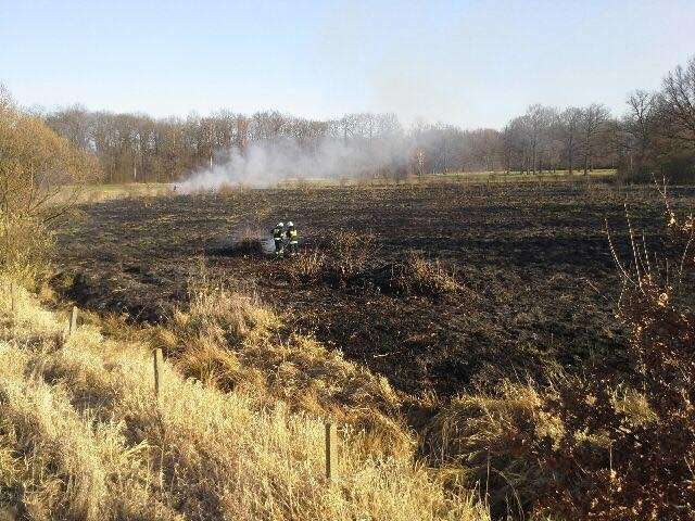 Kolejny pożar traw w gminie Kąty Wrocławskie