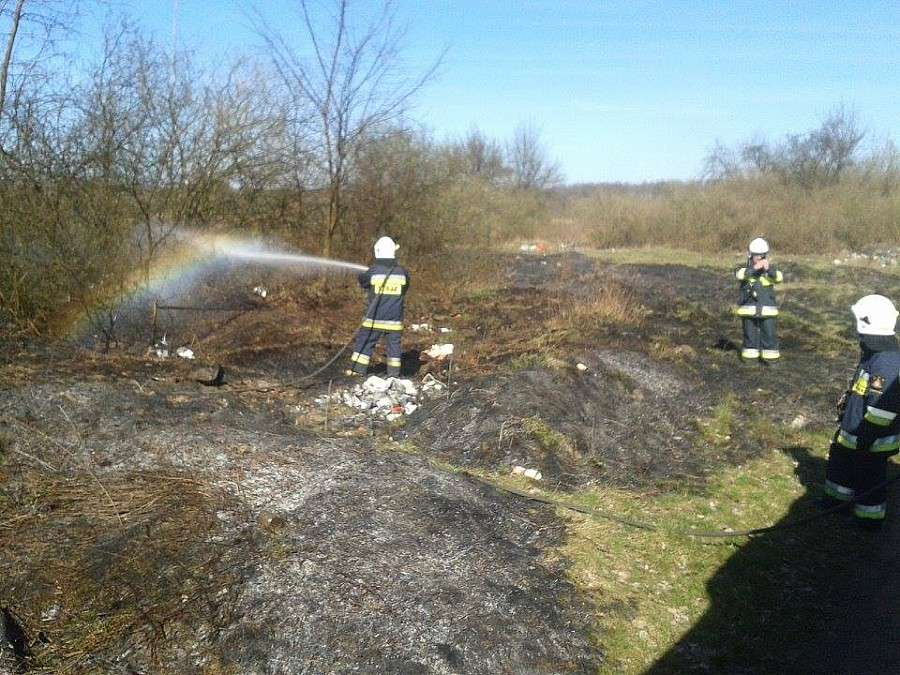 Pożar traw w Chrząstawie Wielkiej 