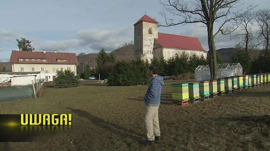 Torturowali bezdomnego przez miesiąc. Pomogli mu niezwykli ludzie