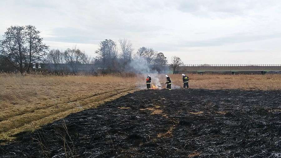 Pożar suchych traw w okolicach S8