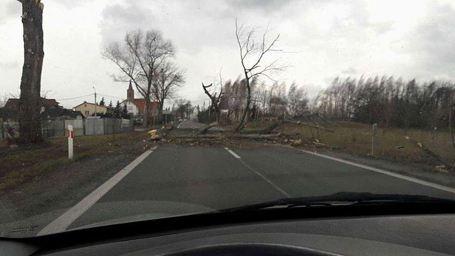 Silny wiatr daje o sobie znać